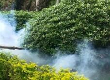 四害消殺完成后，需要做哪些鞏固工作呢？